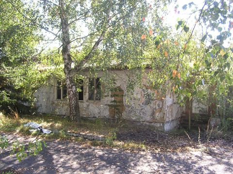 Foto 48